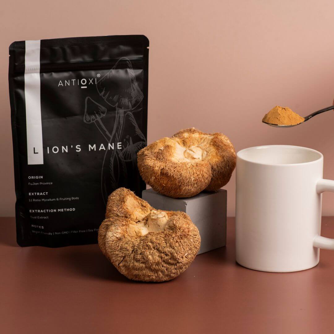 Lion's Mane (Hericium erinaceus)